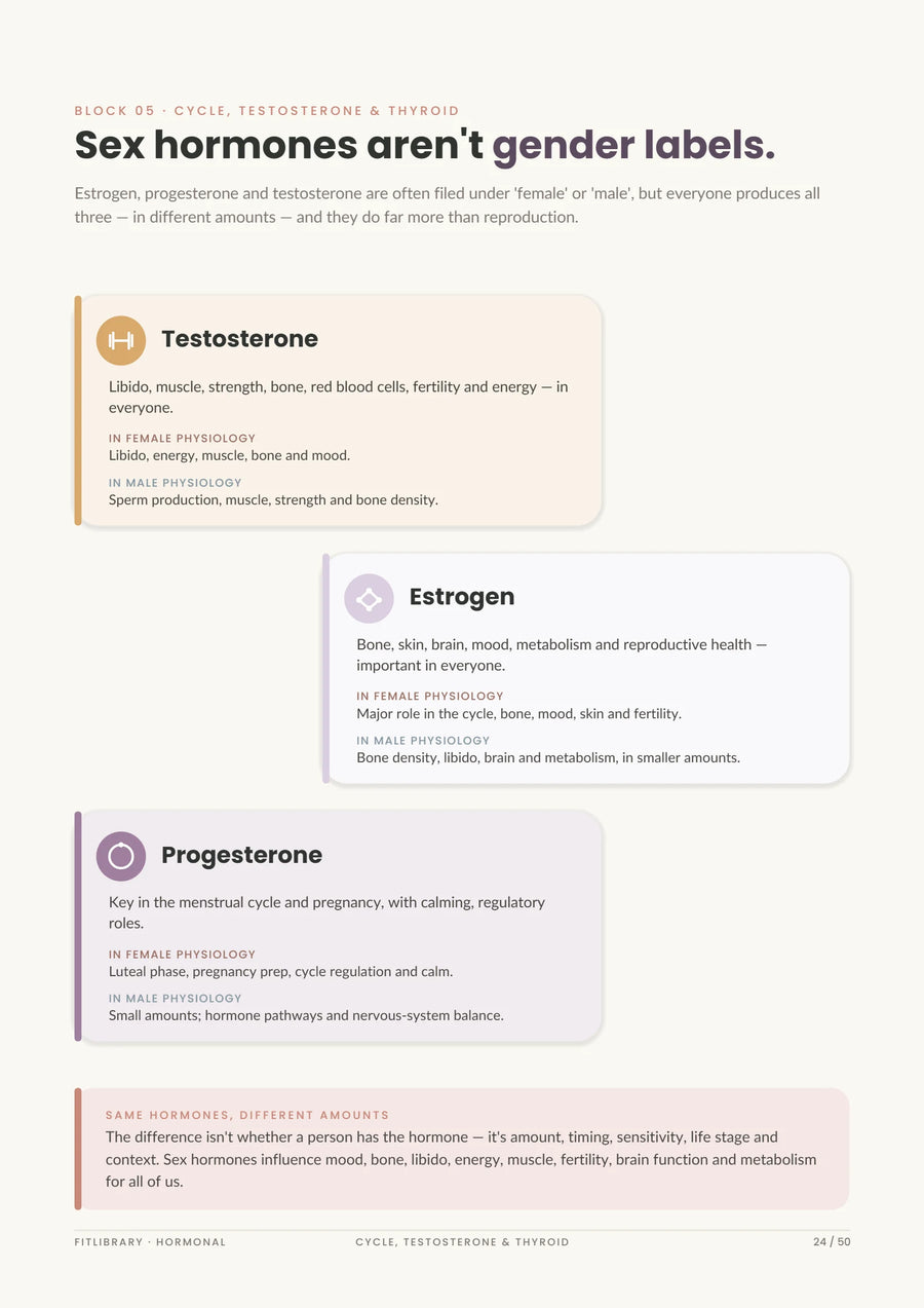 Hormonal eBook page on sex hormones and what can vary in everyone.